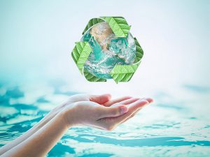 Principiile noastre legate de mediul înconjurător